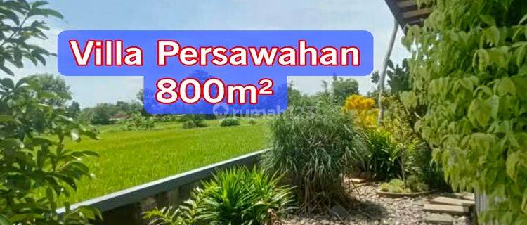 Rumah Villa Persawahan Luas 800 Bantul Parang Tritis 1