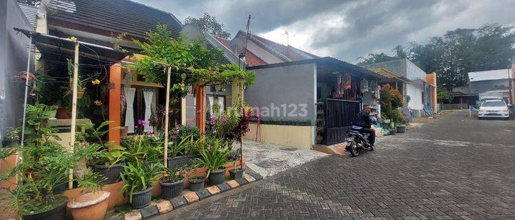 Rumah Bagus Minimalis Harga Baik Di Singosari Kabupaten Malang. 1