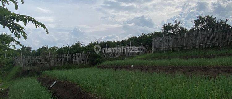 Tanah Luas Subur View Pegunungan Strategis di Junrejo Kota Batu  1