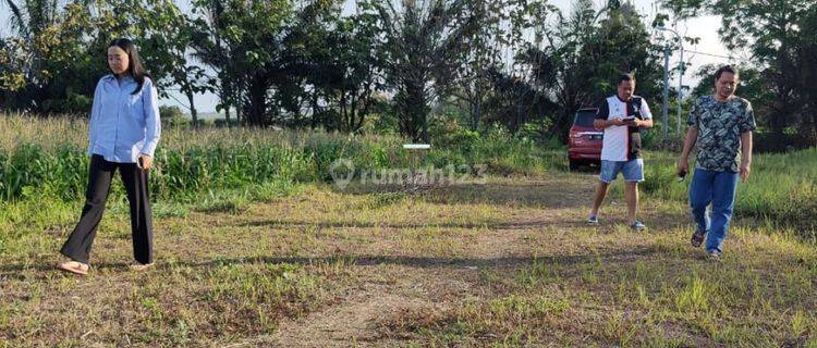 TANAH KEBUN SUBUR HARGA BAGUS DI JUNREJO KOTA BATU. 1