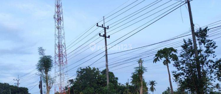 TANAH SUBUR PINGGIR JALAN HARGA ISTIMEWA DI KOTA BONDOWOSO. 1