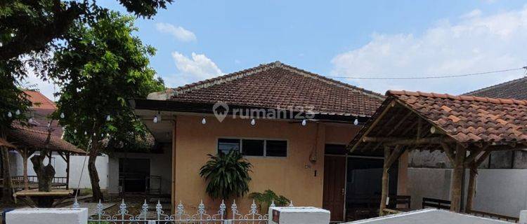 Rumah Bagus Lagan Luas Harga Istimewa Di Sumbersari Jember. 1