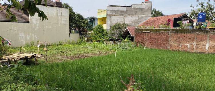 Tanah di Jatinangor, Bandung 1