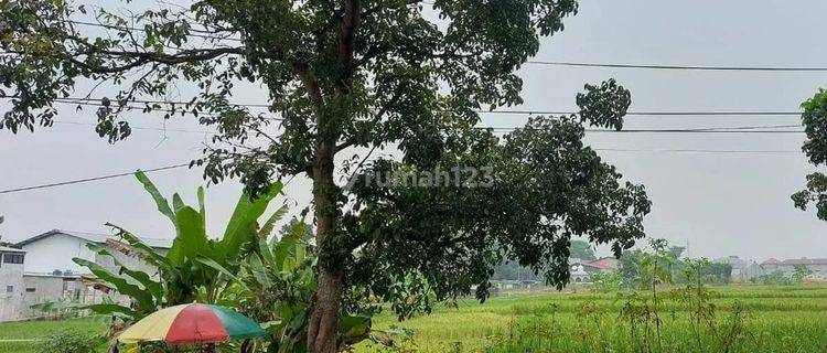 Tanah Dijual di Jalan Pramuka di Cianjur, Jalan Mainroad 1