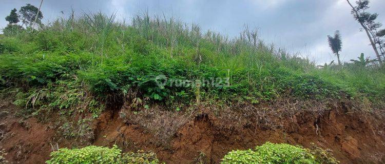 Tanah di Cianjur Selatan Dijual, Jalan Beton 1