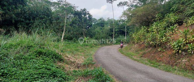 Tanah Dijual di Desa Sukamekar Sukanagara Cianjur Jawa Barat 1