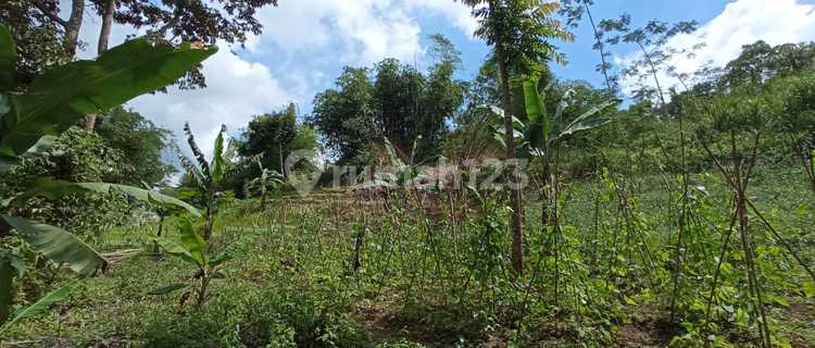 Lahan Tanah 3 Ha Desa Eretan Baros , Sukabumi 1,5 M  1