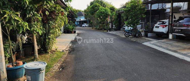 Dijual Rumah Terima Kondisi Sdh Direnov Di Taman Chrysant 1 Bsd 1