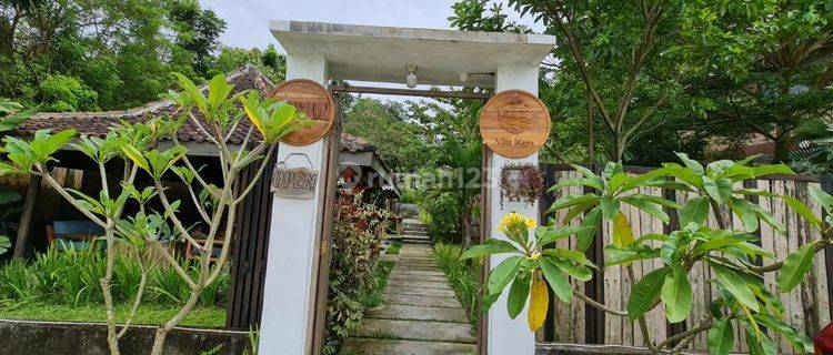 Rumah Village Klasik Etnik Dijual Dkt Kasongan Jogja.BU!!! 1