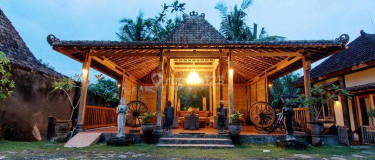 Villa Gallery Homestay Bangunjiwo Kasihan Jogja.jarang Ada Bu , Bantul 1