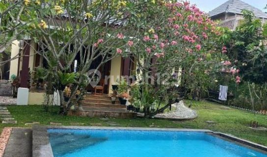 Spacious, Cool, Green Church+Private Pool Godean Sleman. NEGOTIABLE UNTIL DEAL 1