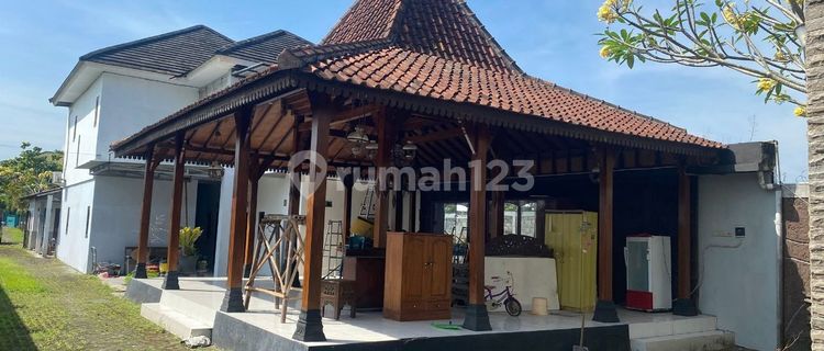 Exclusive Boarding House + Master Bedroom + Pavilion Near ISI Sewon Campus Jogja. Pulung 1