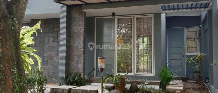 RUMAH RAPI DELATINOS COSTARICA BSD HALAMAN BELAKANG LUAS NEGO 1