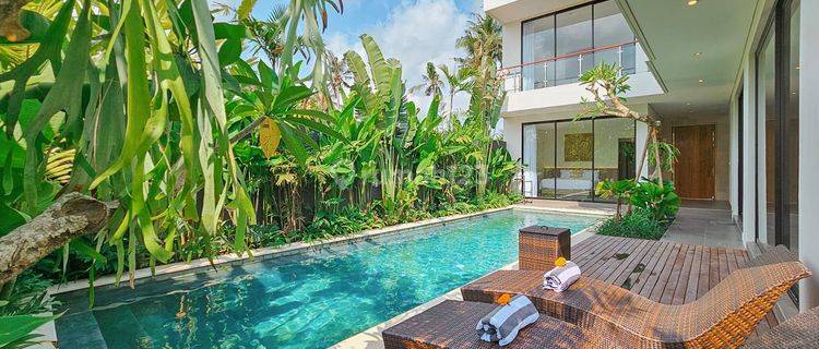 Brand New Modern 3 Bedrooms Villa With Ricefield View At Ubud 1