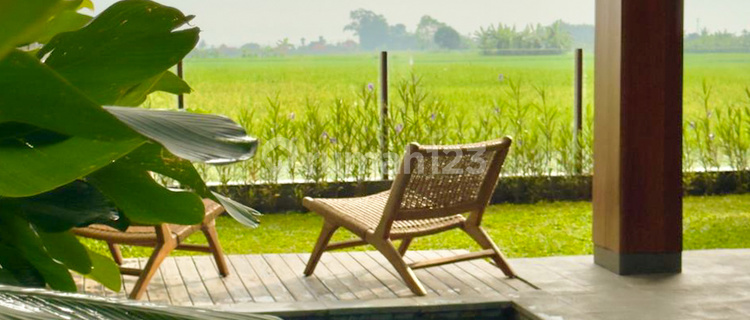 Modern Tropical 2 Bedrooms Villa With Ricefield View At Kedungu 1