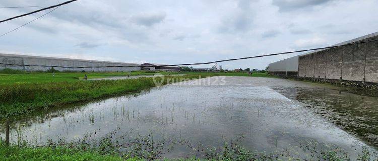 Tanah SHM Industri di Waringin Anom Jl. Pertamina Gresik 1