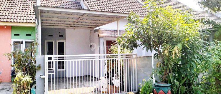 Kontrakan Murah Di Gedangan Buduran Sidoarjo Siap Huni 1