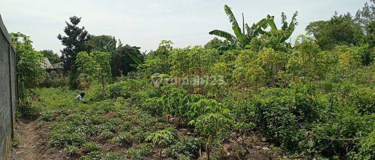 Dijual Tanah Besar Cocok Untuk Bangun Kompel di Jl Cilisung 1