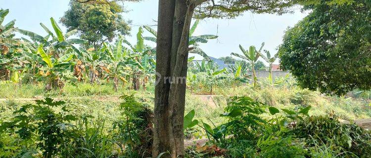 Kavling gandeng siap bangun lokasi tenang hadap diGriyaloka 1