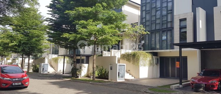 Ready to Live In, Fully Furnished, Neat and Comfortable House in Nava Park BSD 1