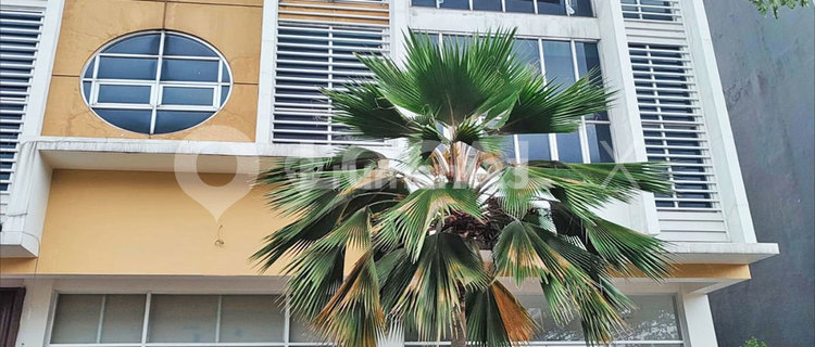 Ruko Little Ginza Ecopolis Cikupa, Panongan, Tangerang, Banten 1