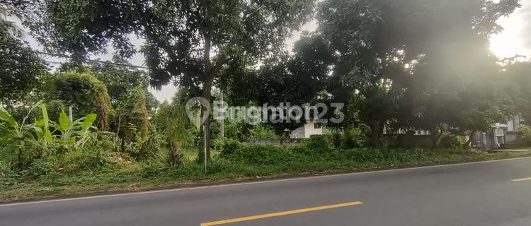 Tanah murah pinggir jalan 1