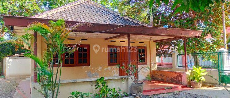 Tanah bonus rumah lama di nusukan solo 1