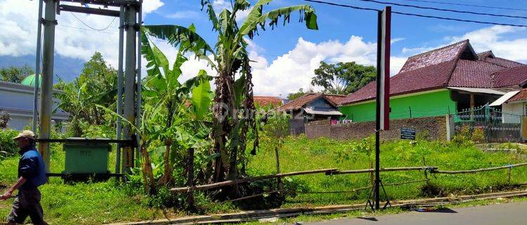 Simpang Samarang Raya Garut, Tanah Pinggir Jalan Utama 1