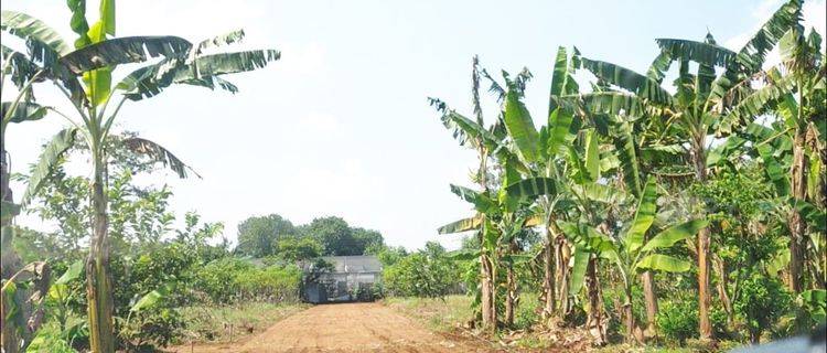 Tanah Cocok Lokasi Bedahan Depok Jawa Barat 1