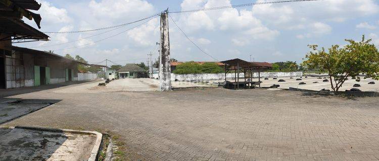 Nol Jalan Pantura Beli Gudang Bonus Tanah Luas Gembong Lamongan 1