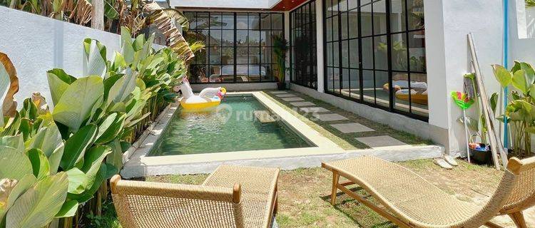 Brand New Beautiful 2 Bedrooms Villa Cozy Living Near Canggu 2 Are Fully Furnished Big Pool 1