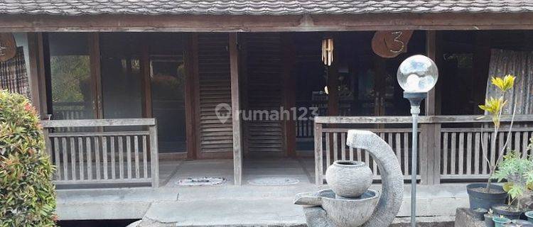 Ex-HOTEL Terawat di Area Wisata Favorit Indonesia di Jalan Utama Area Labuan Bajo Flores Nusa Tenggara Timur 1