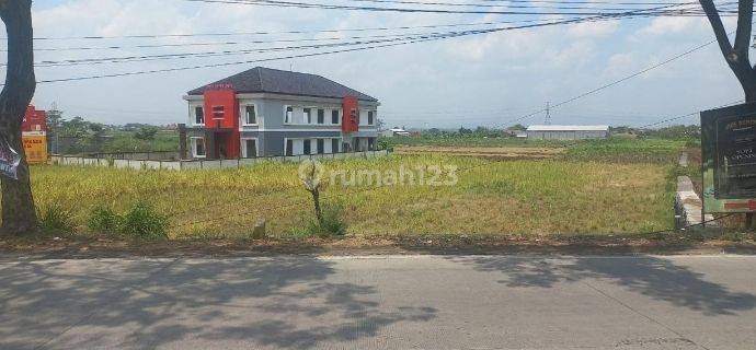 Tanah Murah di Raya Pati Kudus Jateng, Lokasi Nol Jalan Propinsi 1