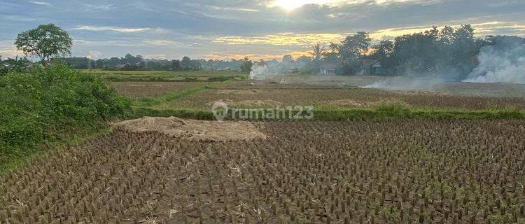 Jual Tanah Padat Sawah Luas 935m Akses Mobil Box Di Legok Tangerang 1
