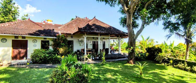 FREEHOLD TWO BEDROOMS HOUSE IN NORTH BALI 1