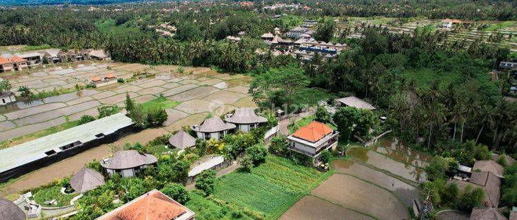 4 PLOTS OF LAND  IN UBUD - GIANYAR 1