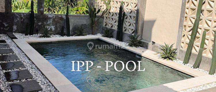 Disewakan Tahunan Villa 2 Kamar View Sawah Di Canggu Ls 1