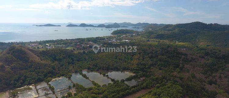 Land For Sale Located at Komodo Labuan Bajo 1