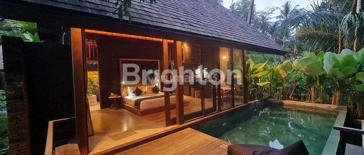 VILLA RESORT WITH JUNGLE VIEW AT UBUD AREA 1