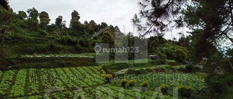 Tanah Kavling Cocok Untuk Rumah Tinggal dan Villa di Cigugur Girang Parongpong Bandung 1