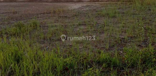 Dijual Kavling di Sorong, Papua Barat, NEGO SAMPAI DEAL 1