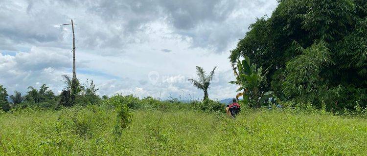 Tanah Kosong di Cigudeg Bogor Lokasi Strategis Nego 1