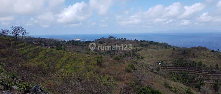 Tanah Kavling di Nusa Penida Lokasi Strategis Nego 1