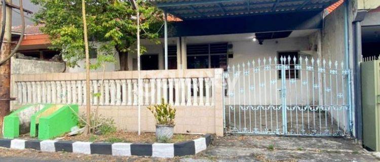 Rumah Murah Siap Pakai Darmo Baru 1