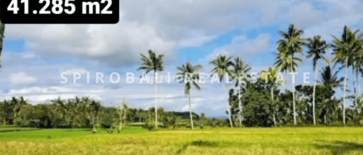 Jual Tanah Hak Milik Total 41.285 M2 di Banyuwangi Selat Bali 1