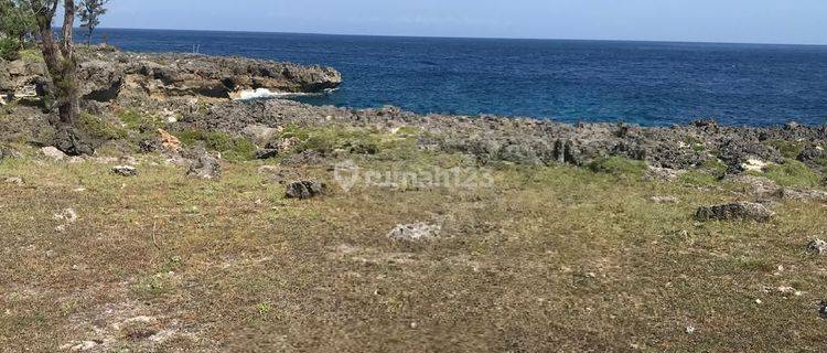 Tanah Los Pantai dengan view laut menakjubkan di Kodi Utara,Sumba Barat 1