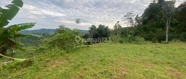 Investasi Emas Untuk Rumah Impian, Villa, Atau Cafe Hits 1