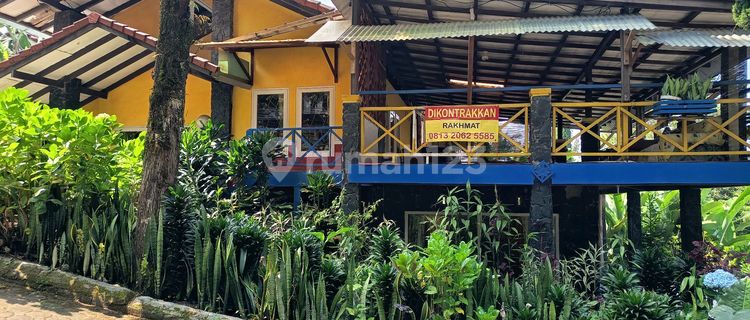Villa House for Rent at Villa Istana Bunga Lembang 1
