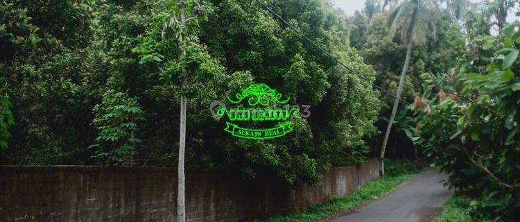 Tanah Jual Lokasi Sembiran 1