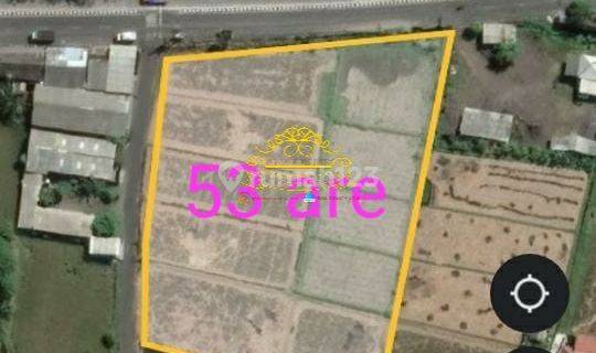 Tanah Sewa Lokasi Ketewel 1